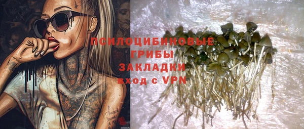 круглые Лагань