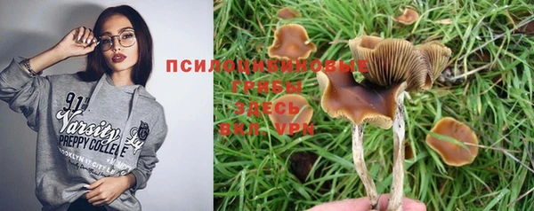 мяу мяу мука Ладушкин