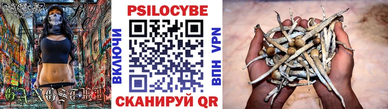 Купить  Серафимович  Псилоцибиновые грибы Psilocybe 